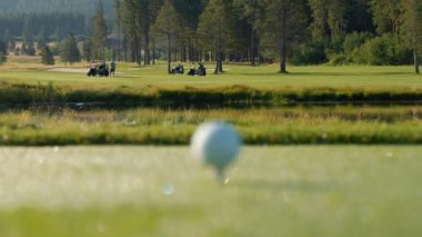 Yeşil sahadaki beyaz golf topu fotokopi uzayı ile aydınlık bir günde bulanık golf sahasında çekilecek. Spor, eğlence sektörü. Golf topu ve golf sopası yeşil çimlerin üzerinde.