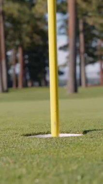 Golf sopası ve top çimlerde. Golf topu yeşilde. Top bardakta. Yeşil çimlerin üzerinde golf sopası ve topunun yakın çekimi gün batımında sakin bir golf sahasının özünü yakalıyor.