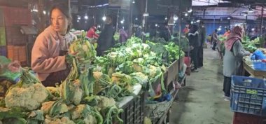 insanlar Market