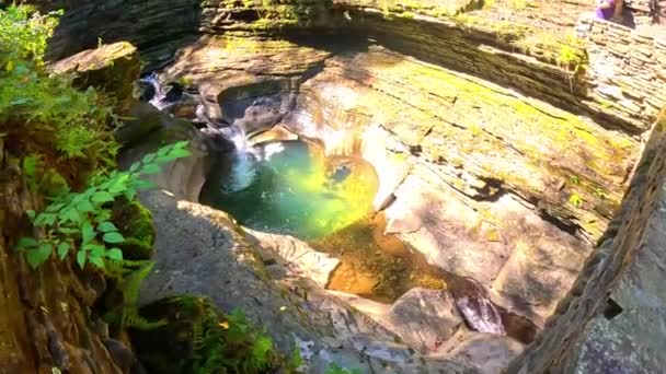 Vackert Vattenfall Skogen Watkin Glen — Stockvideo