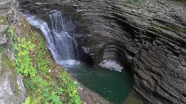 Ormanda güzel bir şelale