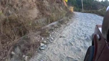 Nepal ormanında yol