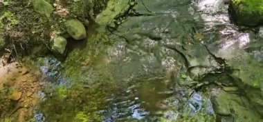 Ses ile Su Deresi Rahatlatılıyor