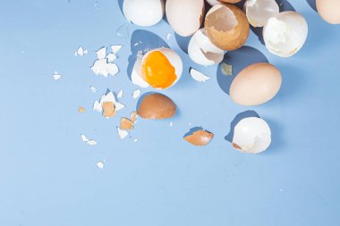 Mavi arka planda çiğ yumurta. Yumurta kabuğu