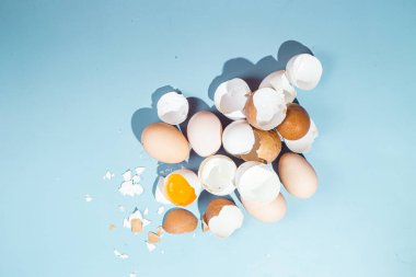 Mavi arka planda çiğ yumurta. Yumurta kabuğu