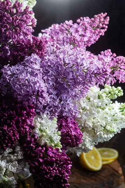 Mooie Bloemen Een Donkere Achtergrond — Stockfoto