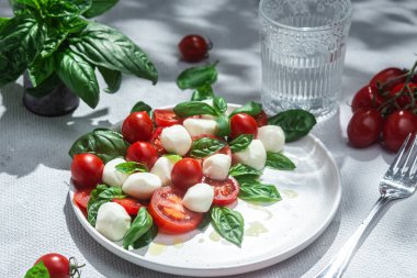 Domates, mozzarella ve fesleğenli caprese salatası.