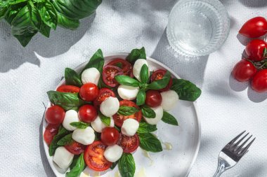 Domates, mozzarella ve fesleğenli caprese salatası.