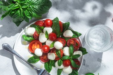 Domates, mozzarella ve fesleğenli caprese salatası.