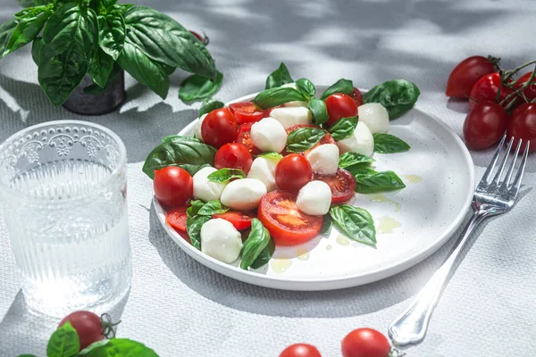 辣椒沙拉加西红柿 莫扎莱和罗勒 — 图库照片