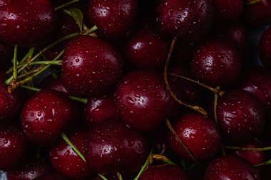 vişne yakından çekimi. kiraz makrosu