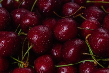 vişne yakından çekimi. kiraz makrosu
