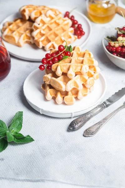 Belgian Waffles Red Currants Bowl Stock Image