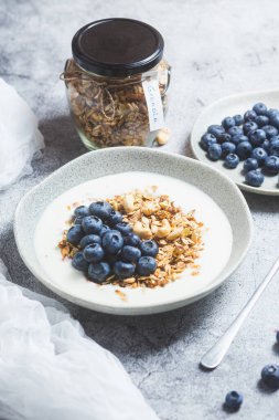 Yoğurtlu granola ve gri arka planda bir tabakta yabanmersini.