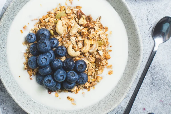 stock image Granola with yogurt and blueberries in a plate on a gray background