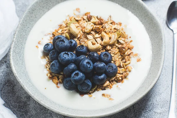 stock image Granola with yogurt and blueberries in a plate on a gray background