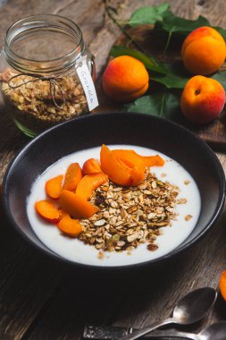 Yoğurtlu granola ve kayısı.