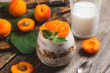 Yoğurtlu granola ve kayısı.