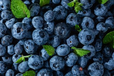 Olgun yaban mersini yakından. Yabanmersini makrosu