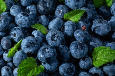 Olgun yaban mersini yakından. Yabanmersini makrosu
