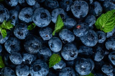 Olgun yaban mersini yakından. Yabanmersini makrosu