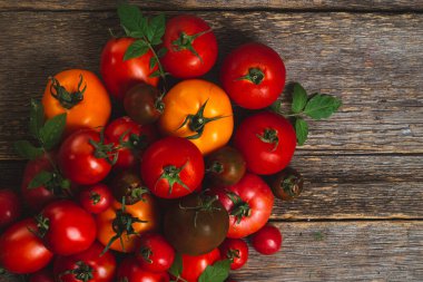 Farklı renk ve çeşitlilikte domatesler yakın çekim