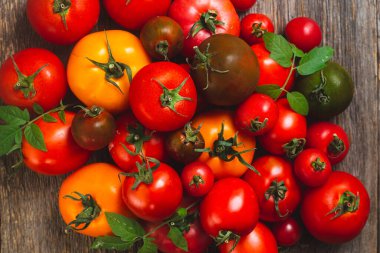Farklı renk ve çeşitlilikte domatesler yakın çekim