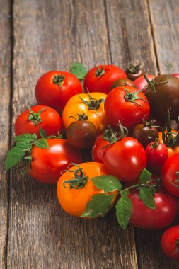 Farklı renk ve çeşitlilikte domatesler yakın çekim