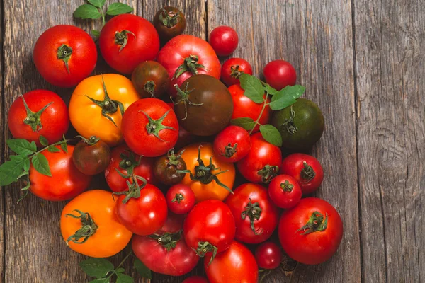 stock image Tomatoes of different colors and varieties close-up