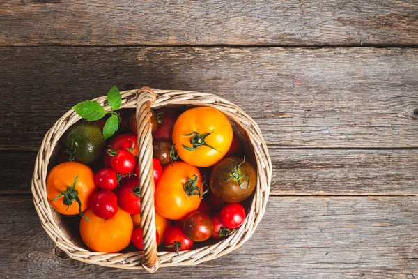 Tomaten Verschiedenen Farben Und Sorten Aus Nächster Nähe — Stockfoto