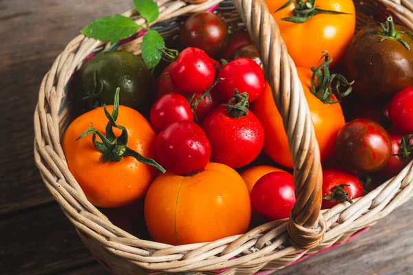 Farklı renk ve çeşitlilikte domatesler yakın çekim