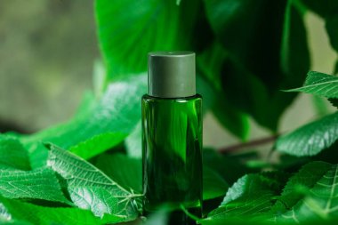 Yeşil arka planda yeşil küçük bir şişe. Serum, vitamin, su.