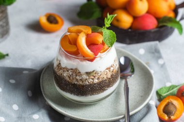 Yoğurtlu granola, chia ve kayısı.