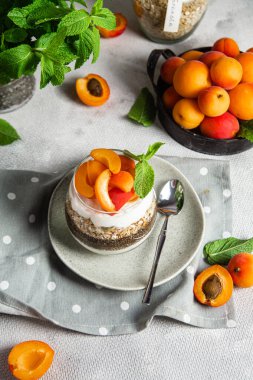 Yoğurtlu granola, chia ve kayısı.