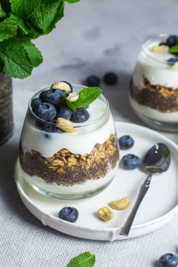 Yoğurtlu granola, chia ve yaban mersini.