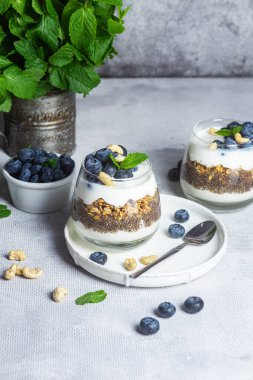 Yoğurtlu granola, chia ve yaban mersini.