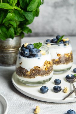 Yoğurtlu granola, chia ve yaban mersini.