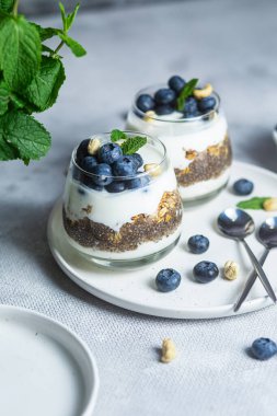 Yoğurtlu granola, chia ve yaban mersini.