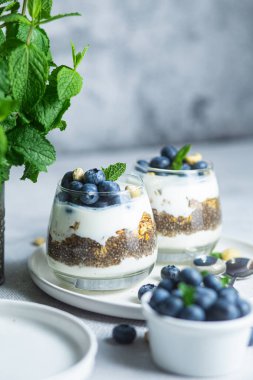 Yoğurtlu granola, chia ve yaban mersini.