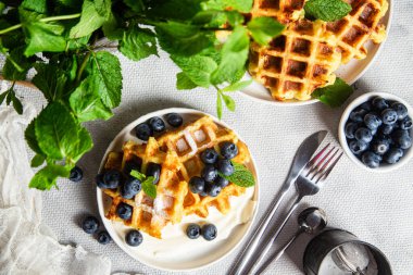 Ekşi krema ve yaban mersinli Belçika waffleları