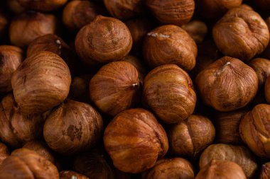 Çiğ, kabuksuz fındıklar. Yakın plan. Fındık