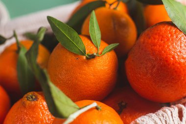 Clementine mandalinaları yeşil yapraklarla kaplıdır.