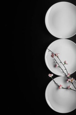 Siyah zemin üzerinde beyaz plakalar ve kiraz dalı.