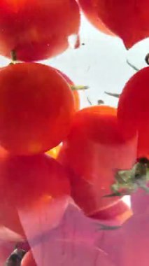 Suda hareketli kiraz domatesleri açık arkaplanda yakın plan