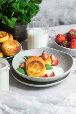 Syrniki Cheesecakes krem soslu süzme peynirli krep, çilek ve nane şekeri tabakta. Kahvaltı.