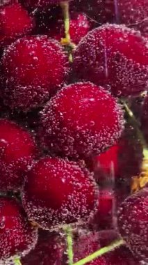 Suyun içinde olgun kırmızı kirazlar.