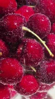 Suyun içinde olgun kırmızı kirazlar.