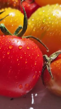 Su Damlacıklarıyla Renkli Kiraz Domatesleri