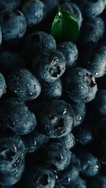 Taze yaban mersini ve su damlacıkları.