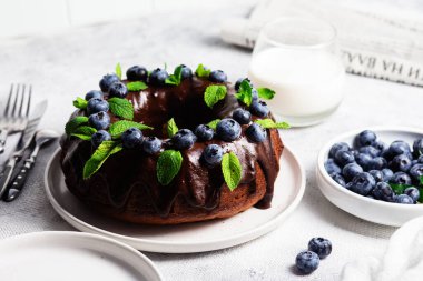 Taze yaban mersini ve nane şekerli lezzetli çikolatalı kek.